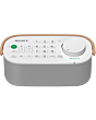 Sony SRSLSR200 Wireless TV Speaker and Control