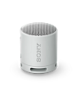Sony SRSXB100H Grey XB100 Compact Bluetooth Speaker