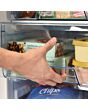 Statesman U355B Black 55Cm U/Counter Freezer