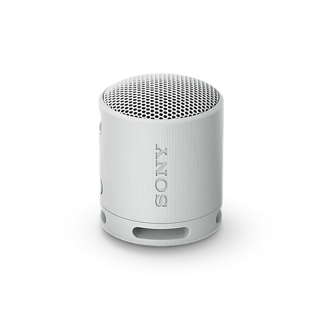 Sony SRSXB100H Grey XB100 Compact Bluetooth Speaker